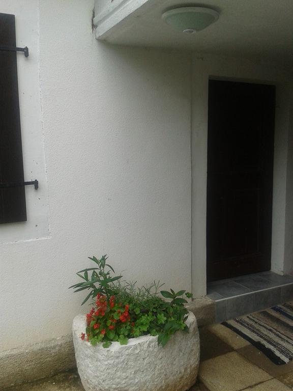 Apartment Kalikut Beli Camera foto