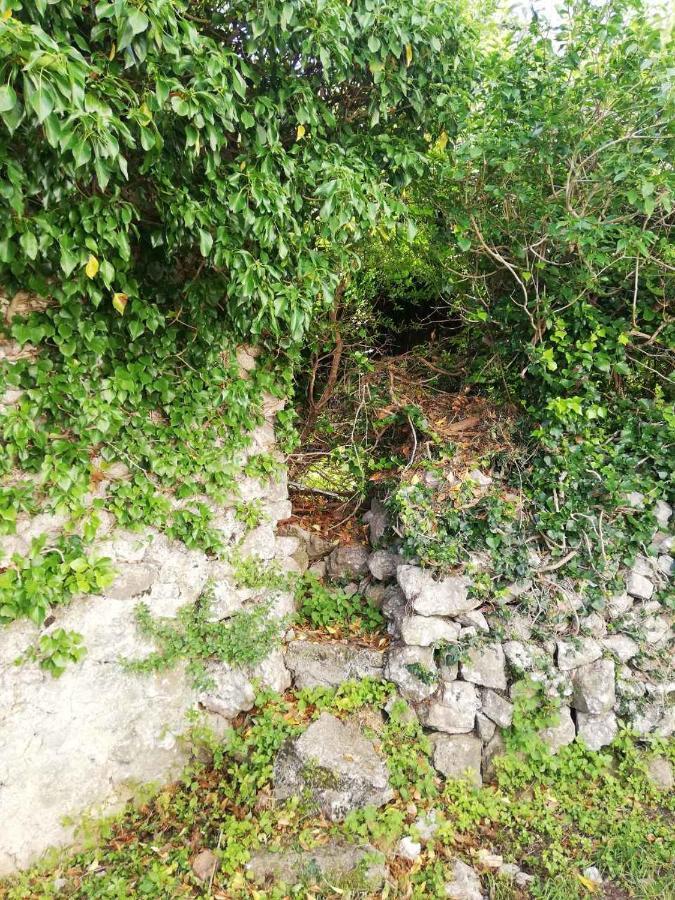 Apartment Kalikut Beli Esterno foto